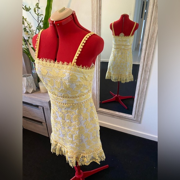 Size 10  - Forever New soft yellow embroidered summer dress - Picture 8 of 12